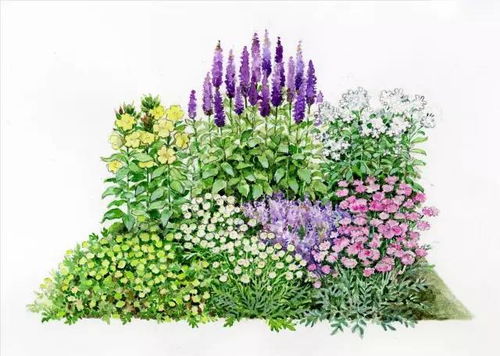 101張超高清精品手繪花境，驚艷你的家居視覺體驗(yàn)